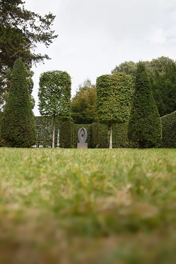hedge-trimming