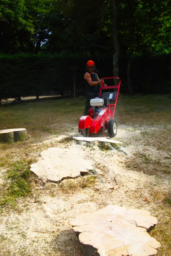 Jon Curtis Tree Surgery - Tree Stump Grinding and Removal Tree Stump Grinding and Removal
